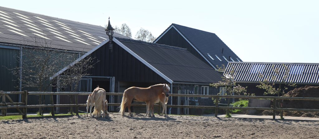 Leestensch Hof